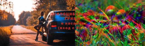 MESCALINE Волоколамск